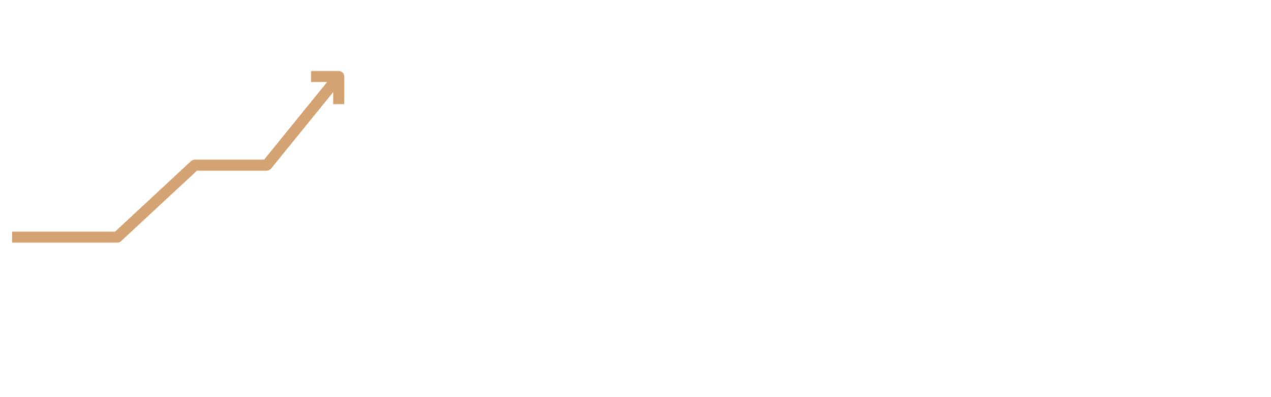 Johnson Strategy Partners