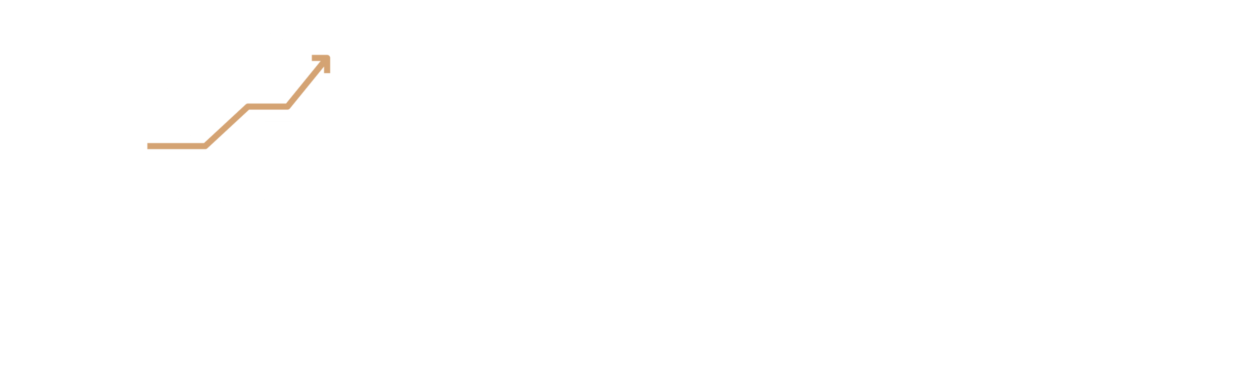 Johnson Strategy Partners